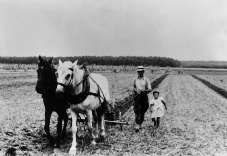 Muzeum poszukuje zdjęć z gospodarstw rolnych