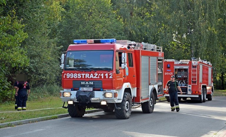 Pożary lasów w okolicach ul. Sikorskiego