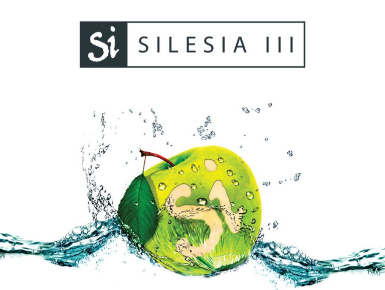Si Silesia: Forum Biznesu i Festiwal Kultury