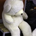 Teddy Bear Toss (17)
