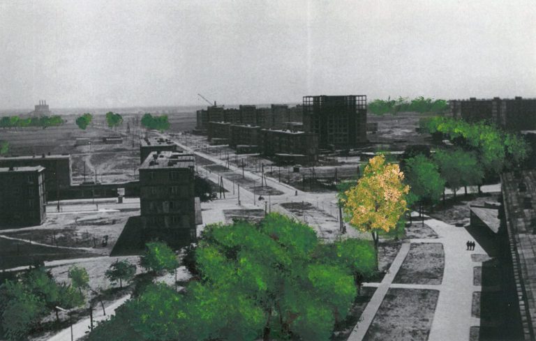 Moje miasto gra w zielone – warsztaty z fotografiami Kubskiego